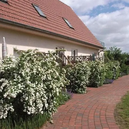 In Am Mueritzsee Lejlighed *