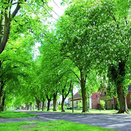 Lejlighed In Am Mueritzsee