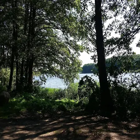 Stilvolle In Am Mueritzsee Buchholz (Mecklenburg-Vorpommern)