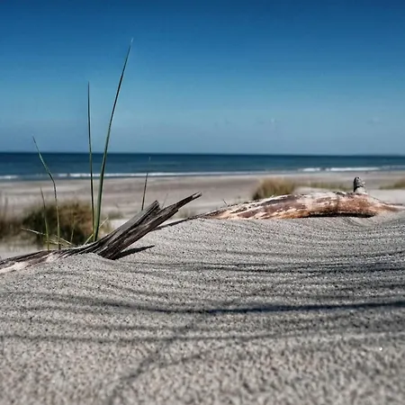 Lejlighed In Am Mueritzsee