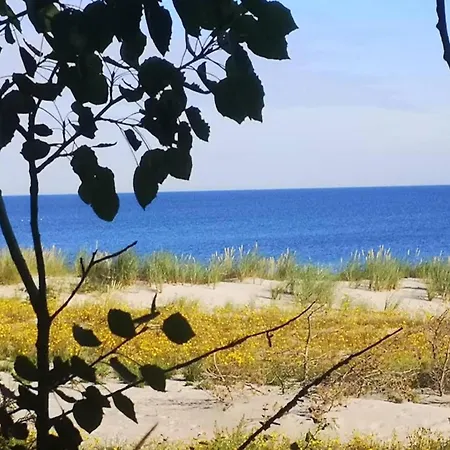 דירה Stilvolle In Am Mueritzsee Buchholz (Mecklenburg-Vorpommern)